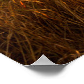 Poster Ferme Et Ferroviaire À Grand Teton (Coin)