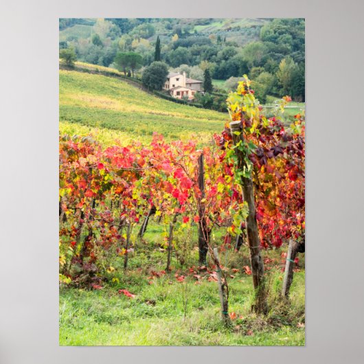 Poster Ferme et vignoble (Devant)