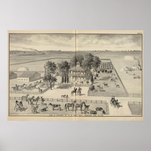 Poster ferme Gibson, Woodland (Devant)