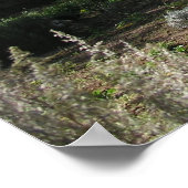 Poster Ferme Herb (Coin)