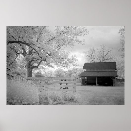 Poster Ferme Meadowbank (Devant)