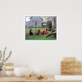 Poster Ferme Rooster (Cuisine)