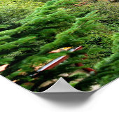 Poster Ferme rustique toscane italienne. Toscane. (Coin)
