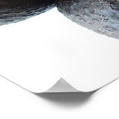 Poster Fermer Avocados (Coin)