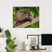 Poster Fermer Bébé mignonne Bois de la marmotte (Bureau à domicile)