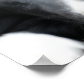 Poster Fermer Bordure noire Collie Chien Visage Orton Art (Coin)