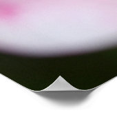 Poster Fermer Frangipani (Coin)