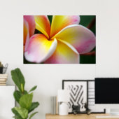 Poster Fermer Frangipani (Bureau à domicile)