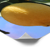 Poster Fermer la branche avec du papier d'affiche citron  (Coin)