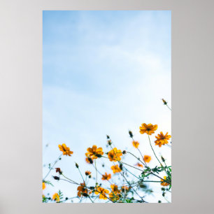 Poster Fermer la photo des fleurs jaunes