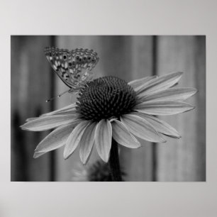 Poster Fermer le papillon