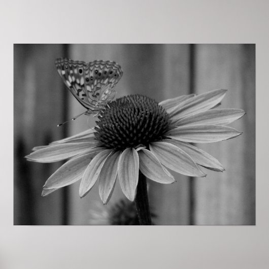 Poster Fermer le papillon (Devant)