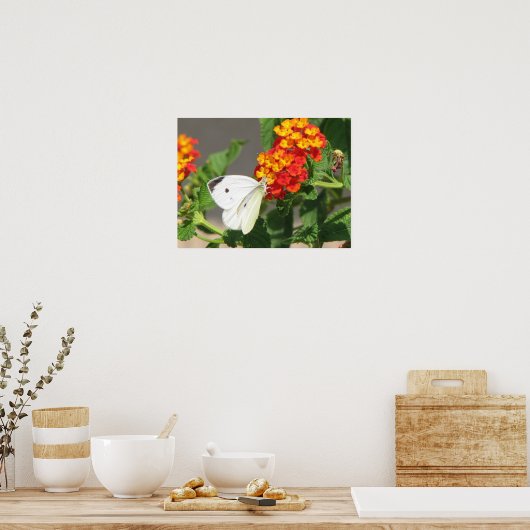 Poster Fermer le papillon (Cuisine)