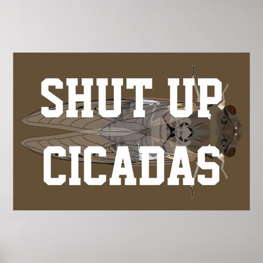 Poster Fermer les Cicadas (Devant)