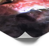 Poster Fermer Peacock Mantis Shrimp (Coin)