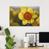 Poster Fermer une jonquille jaune/orange (Bureau à domicile)