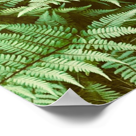 Poster Fermes, (Coin)