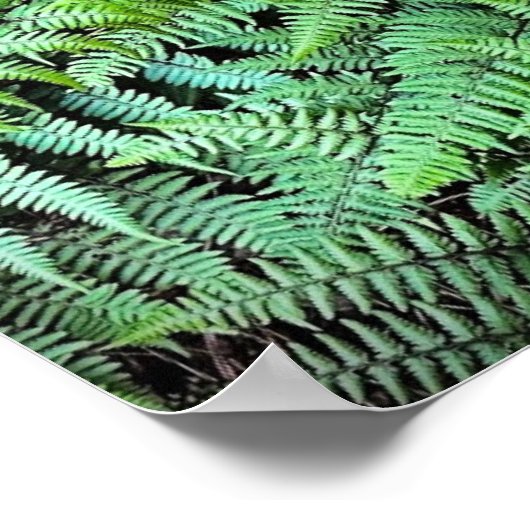 Poster Fermes, (Coin)