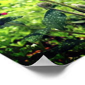 Poster Fermes À Tête Dorsale Et Fleurs De Printemps (Coin)