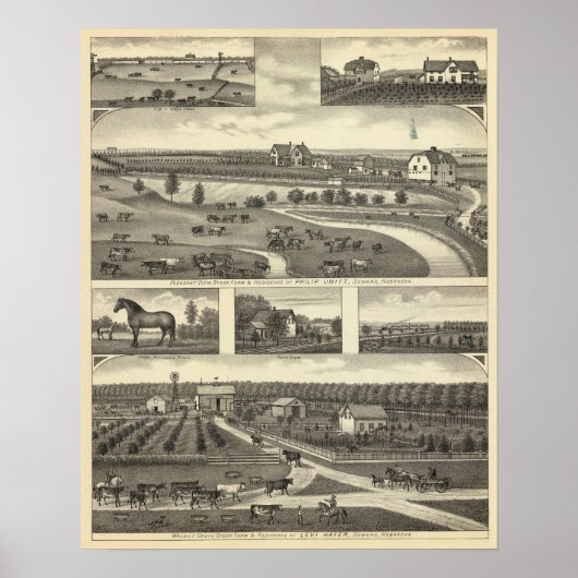 Poster Fermes à Vent, Nebraska (Devant)