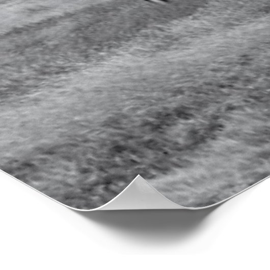 Poster Fermes | BW American Flag Barn Scene (Coin)