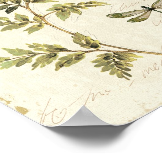 Poster Fermes décoratives et libellules (Coin)