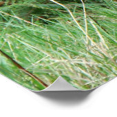 Poster Fermes forestières appelées par Dieu Imprimer (Coin)