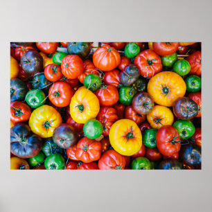 Poster Fermes   Récolte colorée de tomates