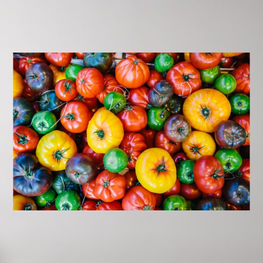 Poster Fermes | Récolte colorée de tomates (Devant)