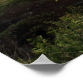 Poster Fermes Shelby (Coin)