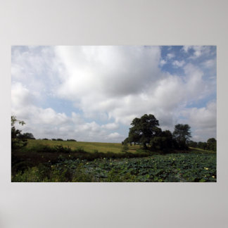 Poster Fermes Shelby