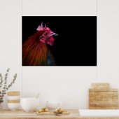 Poster Fermes | Tête de coq (Cuisine)
