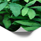 Poster Fermes : Toile— (Coin)