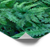 Poster Fermes : Toile—plat (Coin)