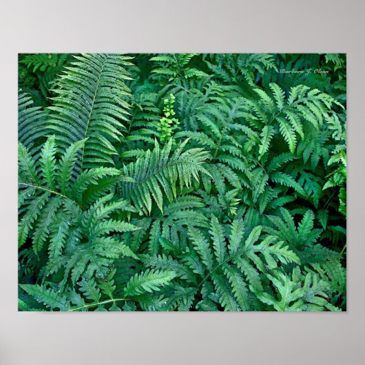 Poster Fermes : Toile—plat (Devant)