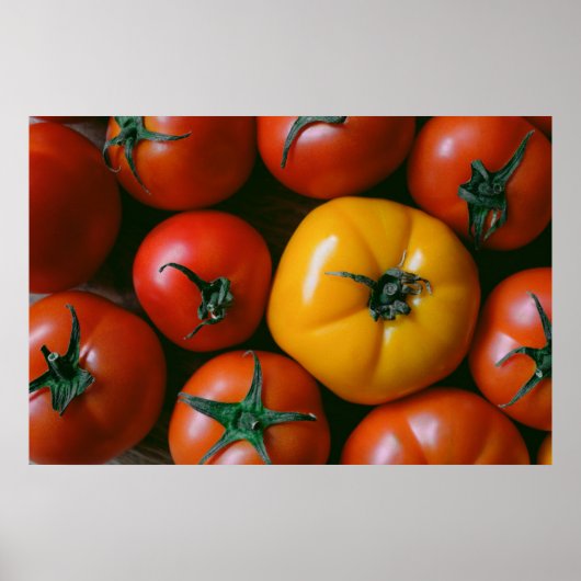 Poster Fermes | Tomates rouges et jaunes brillantes (Devant)