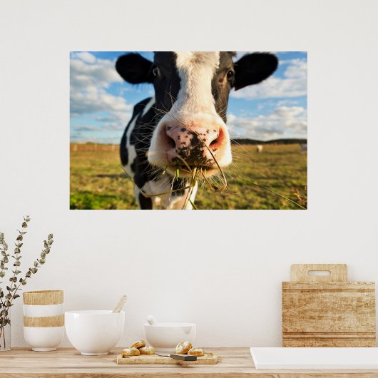 Poster Fermes | Vache Holstein Chewing (Cuisine)