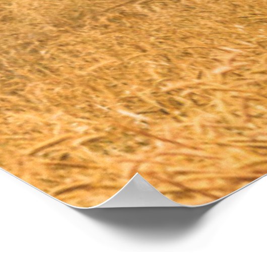 Poster Fermes | Vielle grange rouge (Coin)