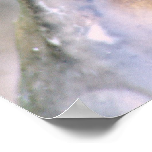 Poster Fermeture de canard Imprimer (Coin)