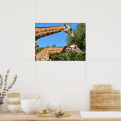 Poster Fermeture de deux girafes vacances (Cuisine)