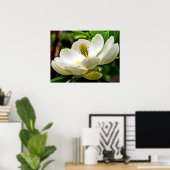 Poster Fermeture de la fleur de Magnolia (Bureau à domicile)
