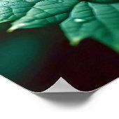Poster Fermeture des feuilles Calme Tranquille saison nat (Coin)