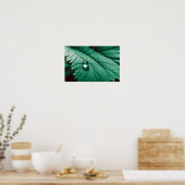 Poster Fermeture des feuilles Calme Tranquille saison nat (Cuisine)