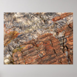 Poster Fermeture du journal pétrifié I