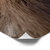 Poster Fermeture D'Un Cerf (Coin)