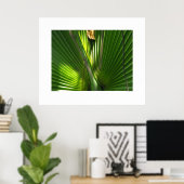 Poster Fermeture photo de la scie Palmetto (Bureau à domicile)