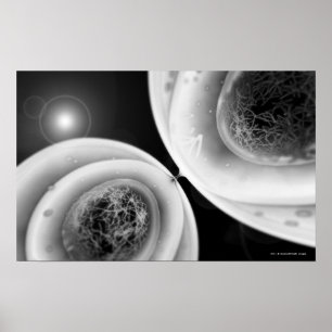 Poster Fermez-vous vers le haut du regard à la division