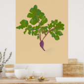 Poster Fermier Radish Turnips Jardinage Plante (Cuisine)