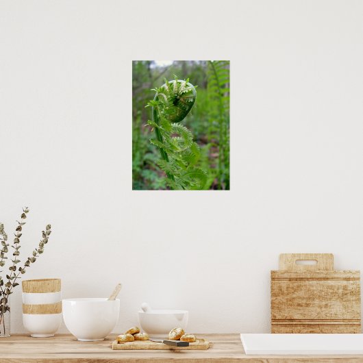 Poster Fern (Cuisine)