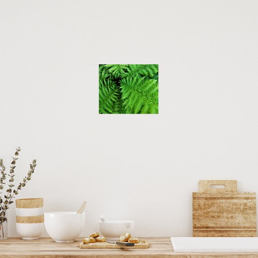 Poster Fern (Cuisine)